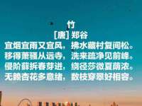山东智掌网络科技有限公司