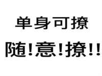 山东智掌网络科技有限公司