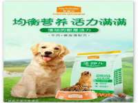 山东智掌网络科技有限公司